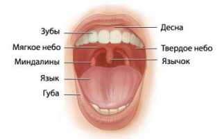 Опасен ли налет на миндалинах в детском возрасте?