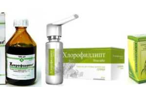 Назальное применение «Хлорофиллипта»: в каких случаях эффективно?