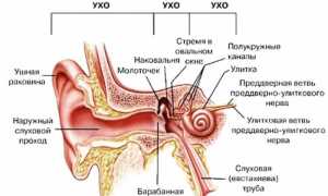 Шунтирование ушей: показания к операции у детей