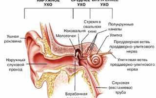 Шунтирование ушей: показания к операции у детей