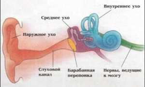 Катаральная форма отита: причины, симптомы, лечение