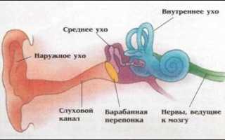 Катаральная форма отита: причины, симптомы, лечение