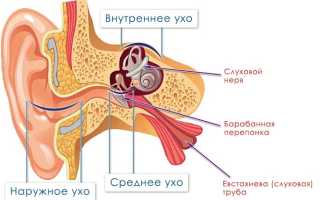 Можно ли прогревать ухо при отите если оно болит?