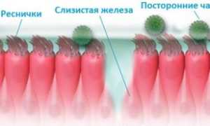 Назальные средства с противовоспалительным эффектом: перечень популярных препаратов, их действие