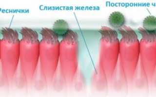 Назальные средства с противовоспалительным эффектом: перечень популярных препаратов, их действие