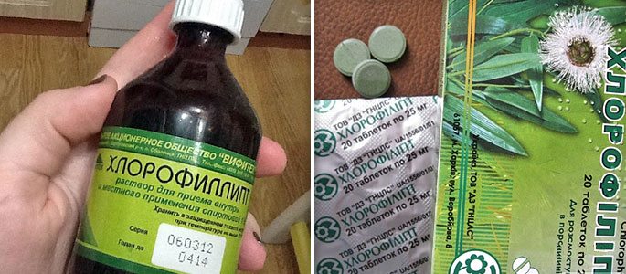 Хлорофиллипт в форме таблеток, масляного и спиртового раствора