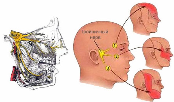 Тройничный нерв