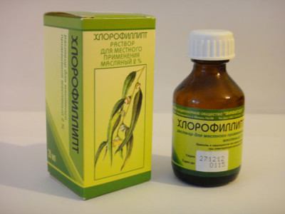 хлорофиллипт