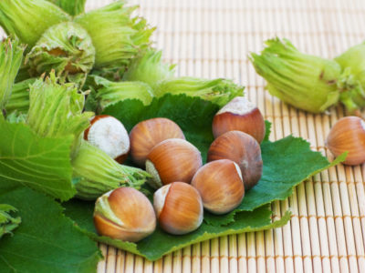 фундук