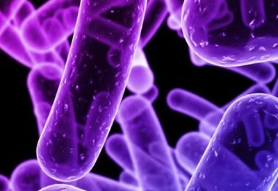 9659-antrax-bacteria-c