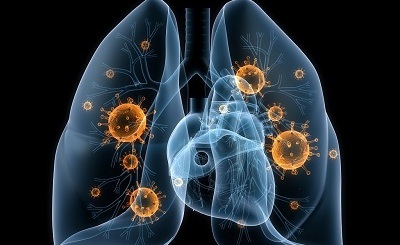 lungs-with-bacteria-low-res