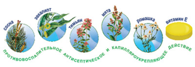 Состав
