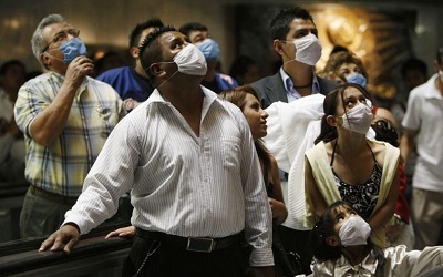 acc3c963a77a1b0eaef7a4d4715a46a5_pig02flu280409