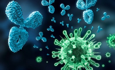 antibodies_553850