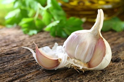 garlic__1_