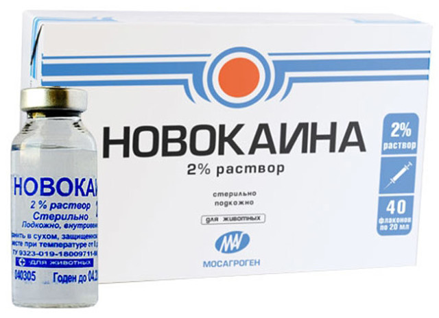 новокаин