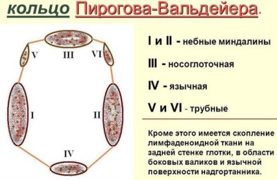 Кольцо Пирогова