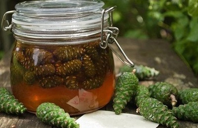 lechebnoe-varene-iz-sosnovyh-shishek-2