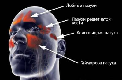 Локализация пазух