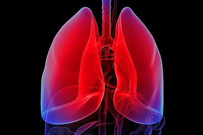 lung