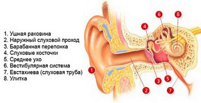 отит