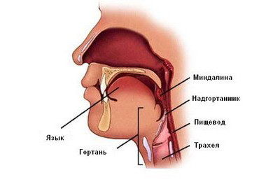 Причины заболевания