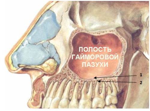 Схема распростронения