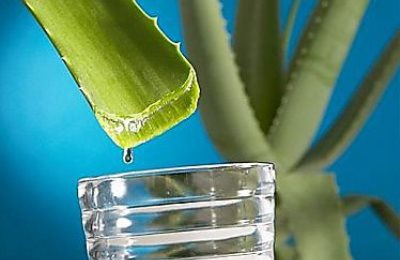Сироп на листьях алоэ