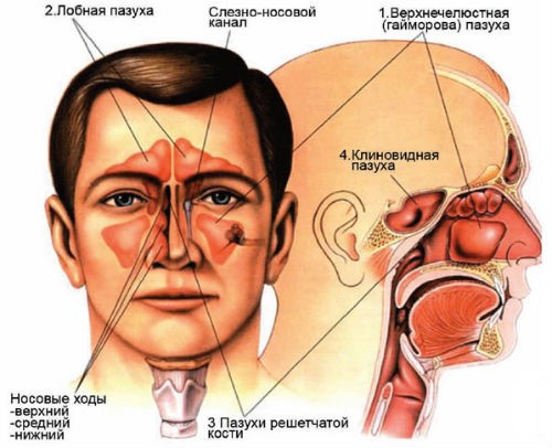 Структурная схема