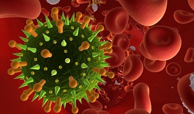 Influenza virus