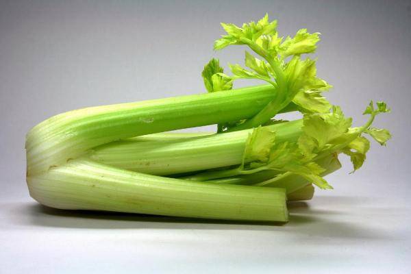 Сельдерей celery