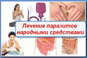 Как избавиться от паразитов в организме народными методами Как народными методами избавиться от паразитов в организме