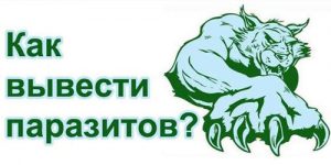 Как вывести паразитов из организма таблетками kak-vyvesti-parazitov-iz-organizma-tabletkami