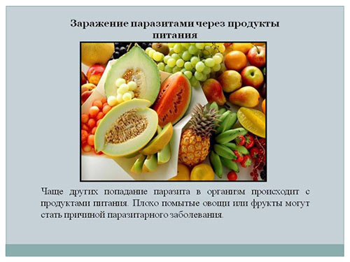Какие продукты могут быть источником паразитов Продукты которые могут быть источником паразитов