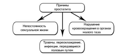 Причины возникновения простатита у молодых мужчин prichiny-vozniknoveniya-prostatita-u-molodyh-muzhchin