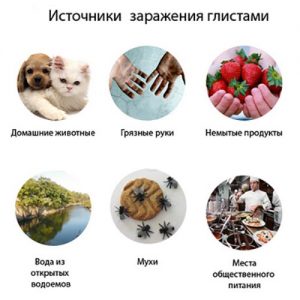 Продукты источники паразитов produkty-istochniki-parazitov