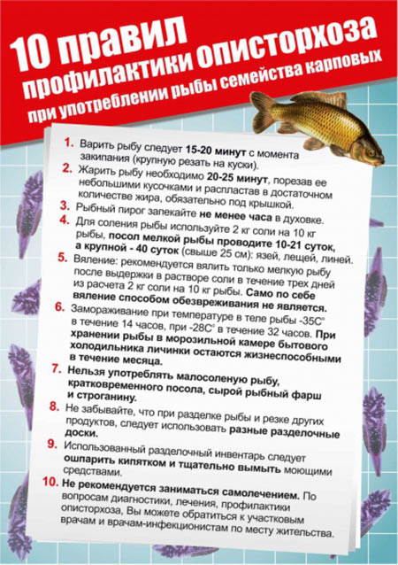 Профилактика описторхоза в домашних условиях profilaktika-opistorhoza-v-domashnih-usloviyah
