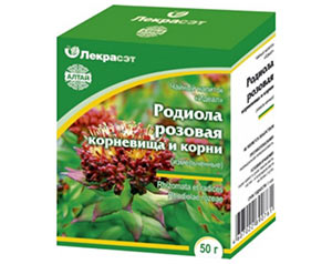 Родиола розовая rodiola-rozovaya