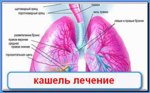 Затяжной кашель у взрослых как лечить zatyazhnoj-kashel-u-vzroslyh-kak-lechit